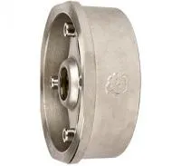 Дисковый межфланцевый обратный клапан из стали Rushwork