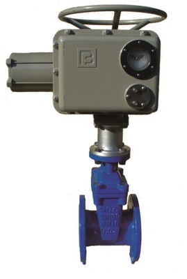 Задвижка с обрезиненным клином фланцевая ABRA с электроприводом Regada В Миассе